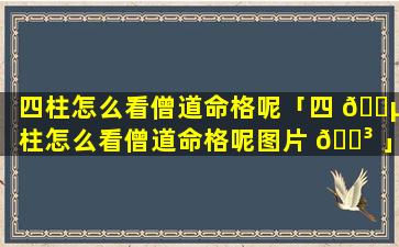 四柱怎么看僧道命格呢「四 🐵 柱怎么看僧道命格呢图片 🐳 」